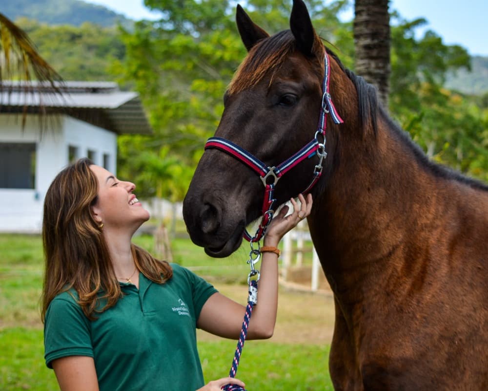Marina interagindo com cavalo no estábulo